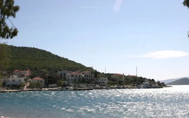 Korali