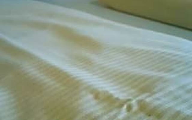 Landhaus Haus am Berg