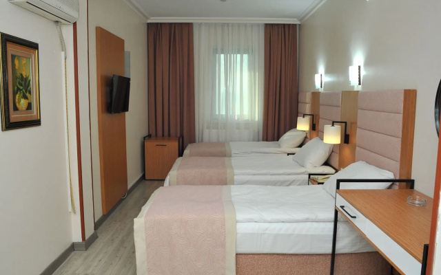 Lion City  Ankara