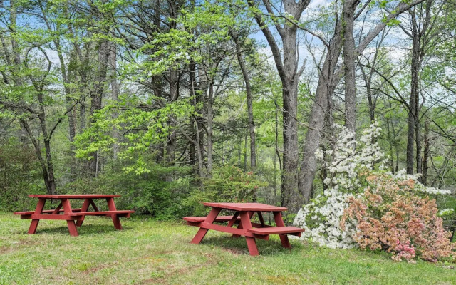 Cosby Mountain Lodge 4 Bedroom Home