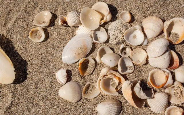 Apartamentos MarAzul La Manga