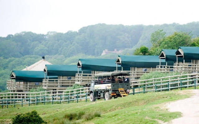 Bear Lodge - Glamping