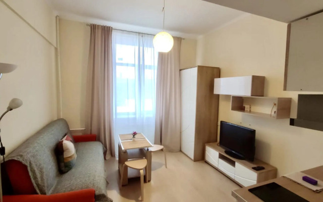 ZenApart на улице Гостиничная 10/5