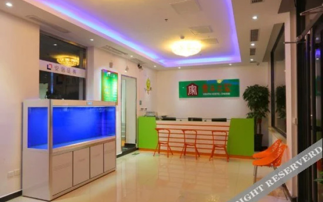 Youth Hostel Chains