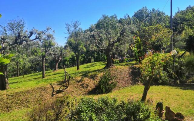La Grande Quercia