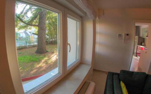 Apartment Pinus