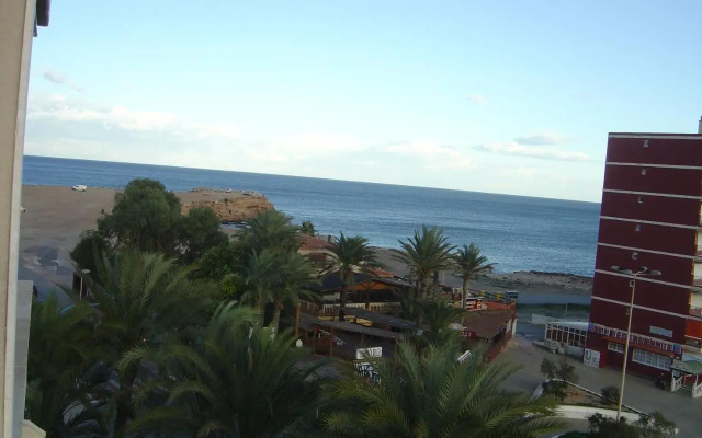 Palmeral de Torrevieja