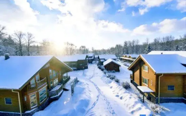 ChangBai Mountain Pine&Birch Villa