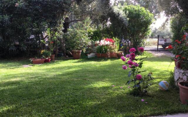 ntinas house