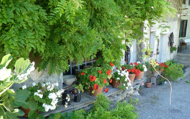 Domaine de la Safranière