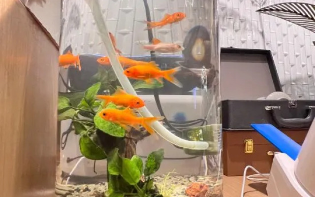 Jingdezhen Qinghui Nuanju Hotel (Taoxichuan Branch)