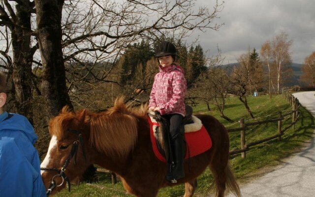 Der Ponyhof Familienhotel & Reitstall