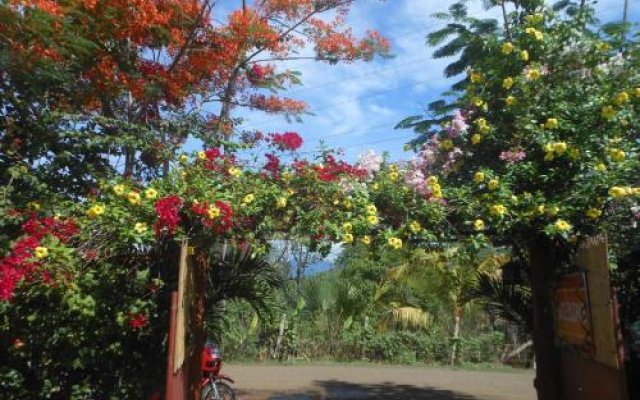 Jungle Flower Guest House