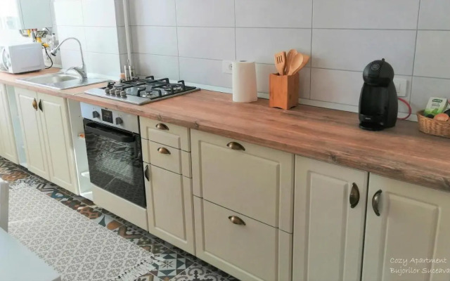 Cozy Apartment Bujorilor Suceava