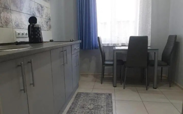 Apartment in Truskavets