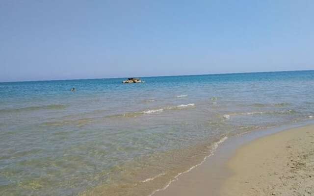 Single Room for Rent With Private Bathroom