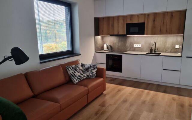 Apartment Černý Důl Cerny Dul
