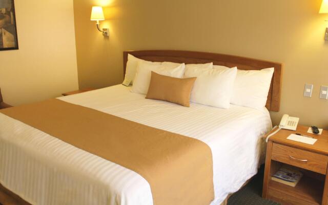 Best Western Plus Cumbres Aeropuerto