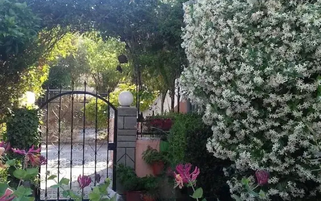 The Jasmine House