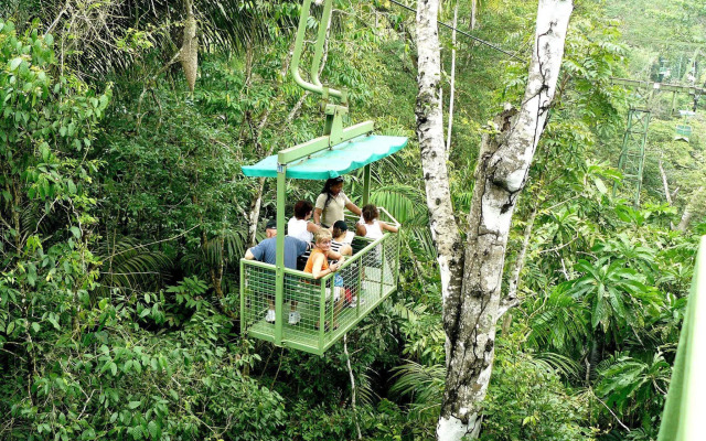 Gamboa Rainforest Reserve