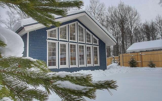 Scandi house