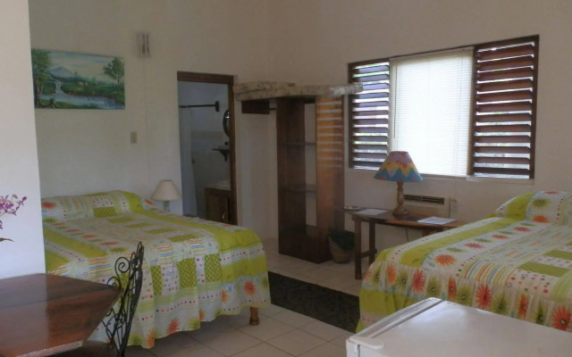 Negril Yoga Centre