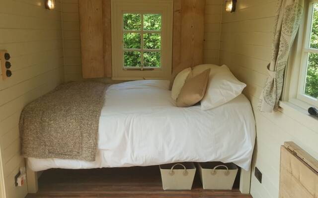 Wilderness B&B