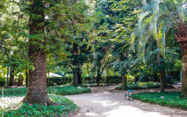 Quinta Das Lagrimas