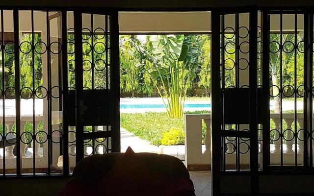 The Swimming Ostrich