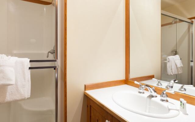 Tree Line by Whistler Premier