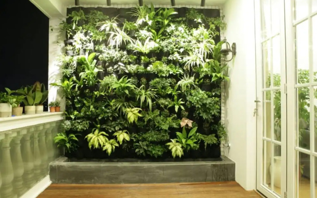Wonderland French Concession- IAPM City Garden in the Air