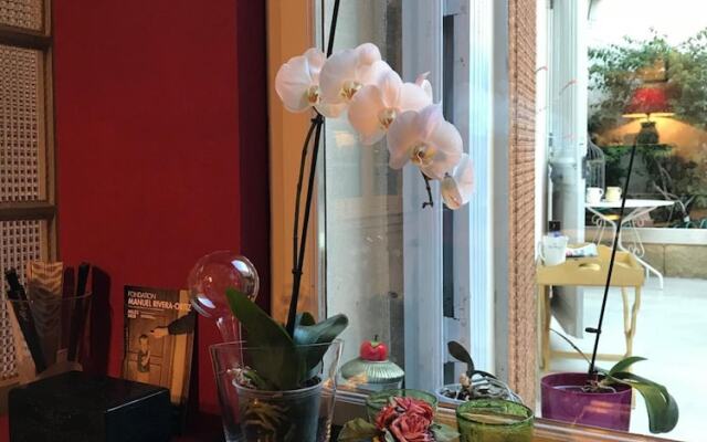 Couleurs de Camargue Chambres d'Hôtes