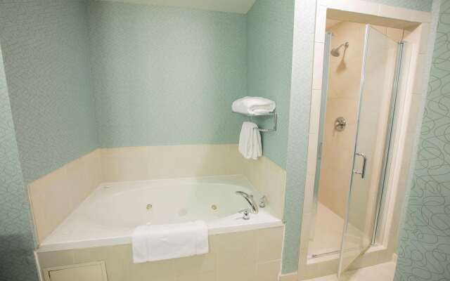 Hilton Garden Inn Atlanta South/McDonough