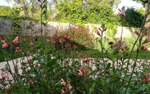 Dimora il Mandorlo