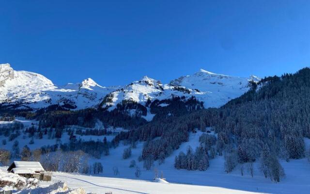 Appartement La Clusaz, 2 pièces, 6 personnes - FR-1-437-90