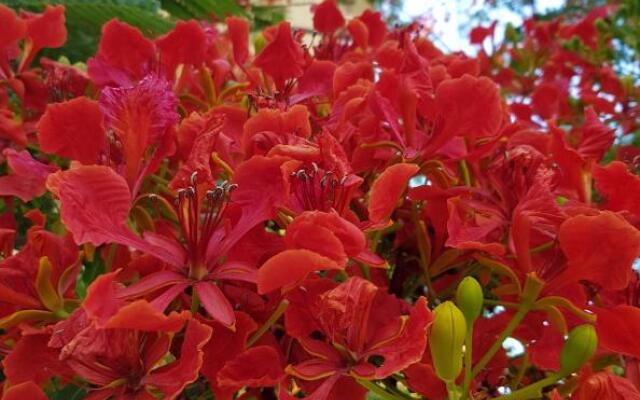 Hayat Al-Rehab Apartment