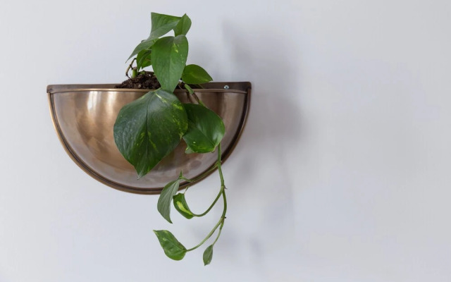 Bright & Spacious Sanctuary in the Center of Porto