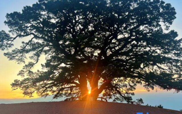 Red Land Wangcai Resort