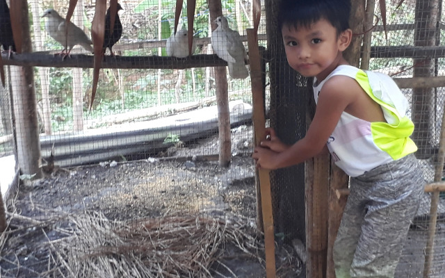 Singalong Nature Camphill Site