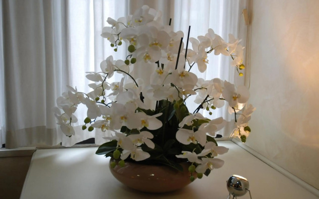 Hotel Continental Brescia