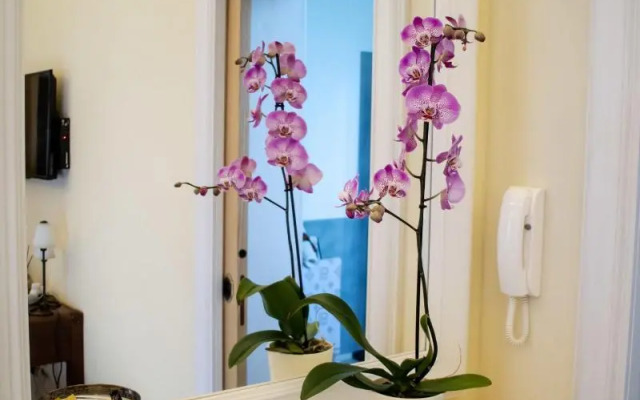 Turenum Apartment B&B