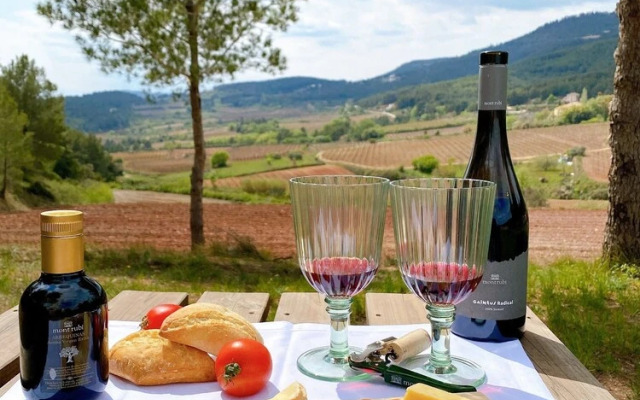 Casa Gran 1771 - MontRubí Winery Hotel - Adults Only