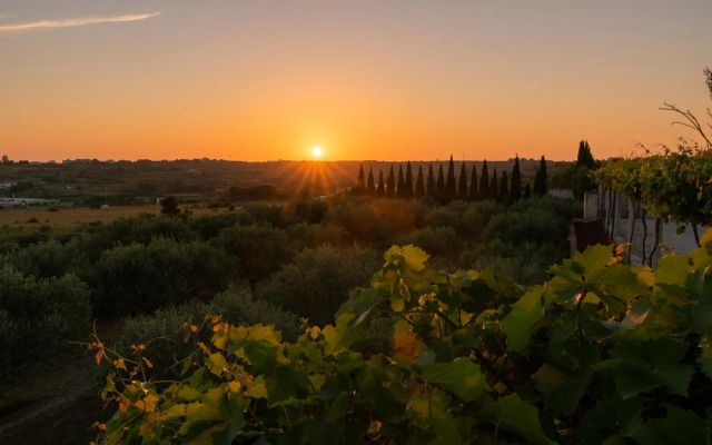 Villa Albina & Domenica