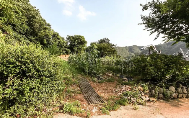 Youngwol River Park