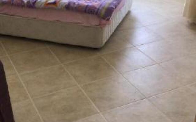 Di̇di̇m De Deni̇ze 100 Metre