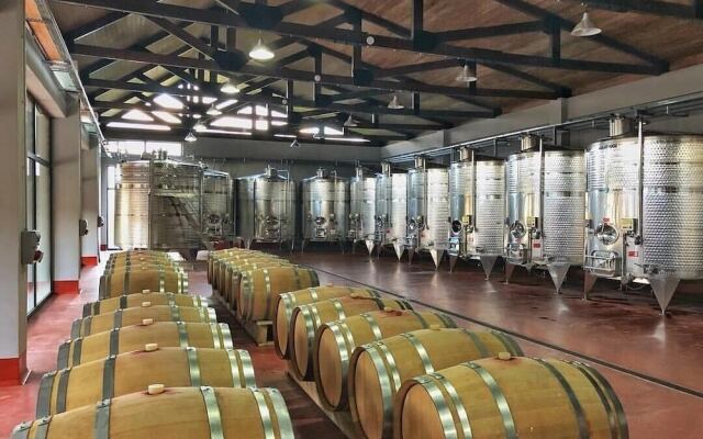 Chateau Mosmieri Resort