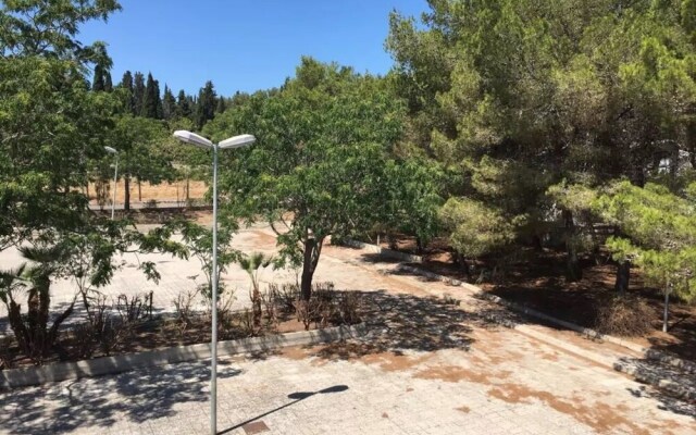 Loft in Natural Park