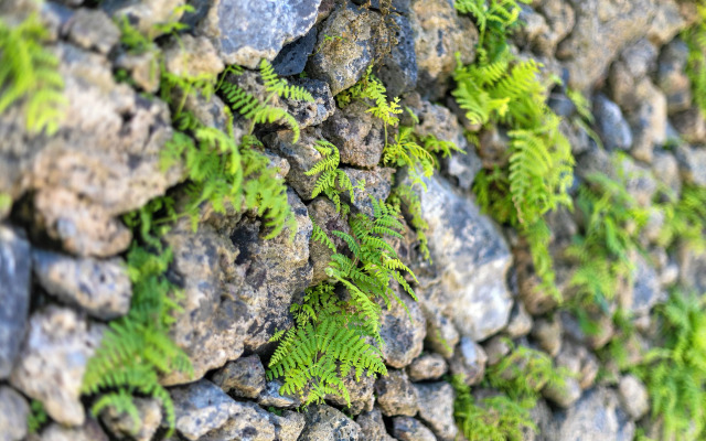 Solar Branco Eco Estate