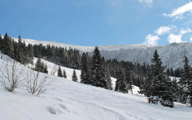 Chalet Almrausch