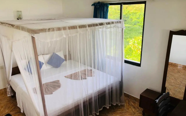 Surf Paradise & Cabana